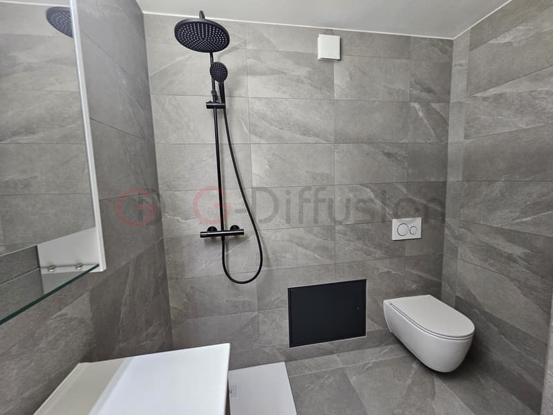 Magnifique appartement de 2.5 pièces rénové (5)