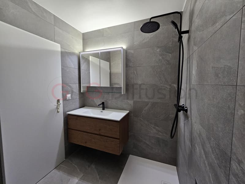 Magnifique appartement de 2.5 pièces rénové (4)