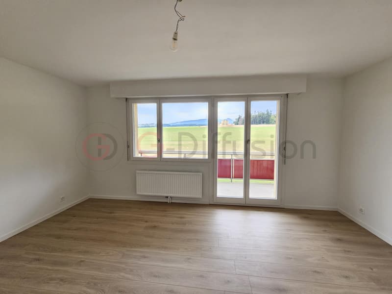 Magnifique appartement de 2.5 pièces rénové (6)