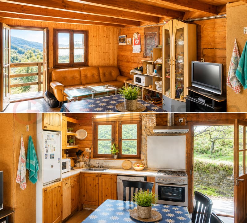 Chalet à renover à vendre à Saxon (4)