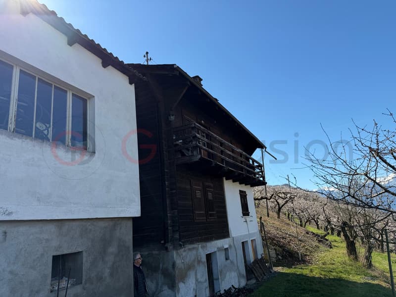 Chalet à renover à vendre à Saxon (2)