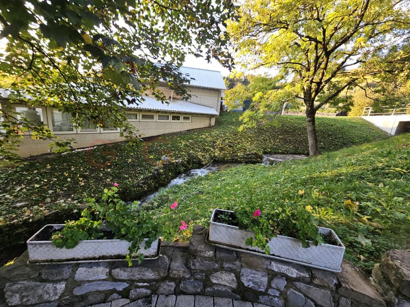Magnifique villa individuelle avec un grand jardin (8)