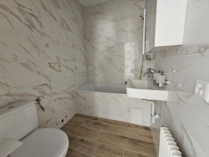 Magnifique appartement de rendement rénové (5)