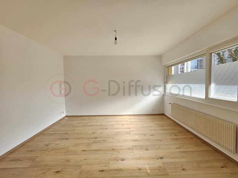 Magnifique appartement de rendement rénové (3)