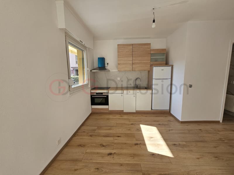 Magnifique appartement de rendement rénové (1)