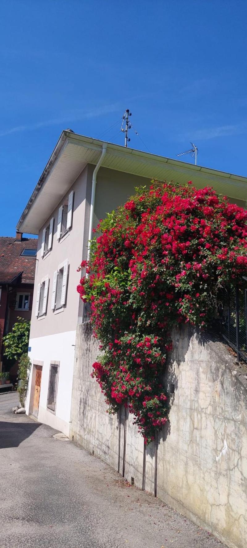 Magnifique villa individuelle à vendre à Villeneuve (2)