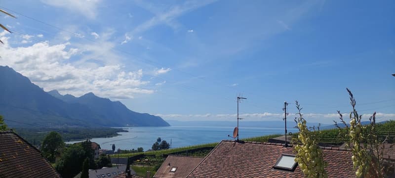 Magnifique villa individuelle à vendre à Villeneuve (1)