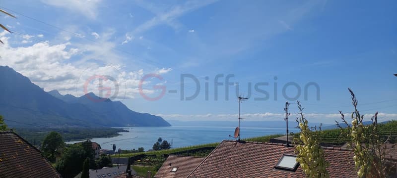 Magnifique villa individuelle à vendre à Villeneuve (1)