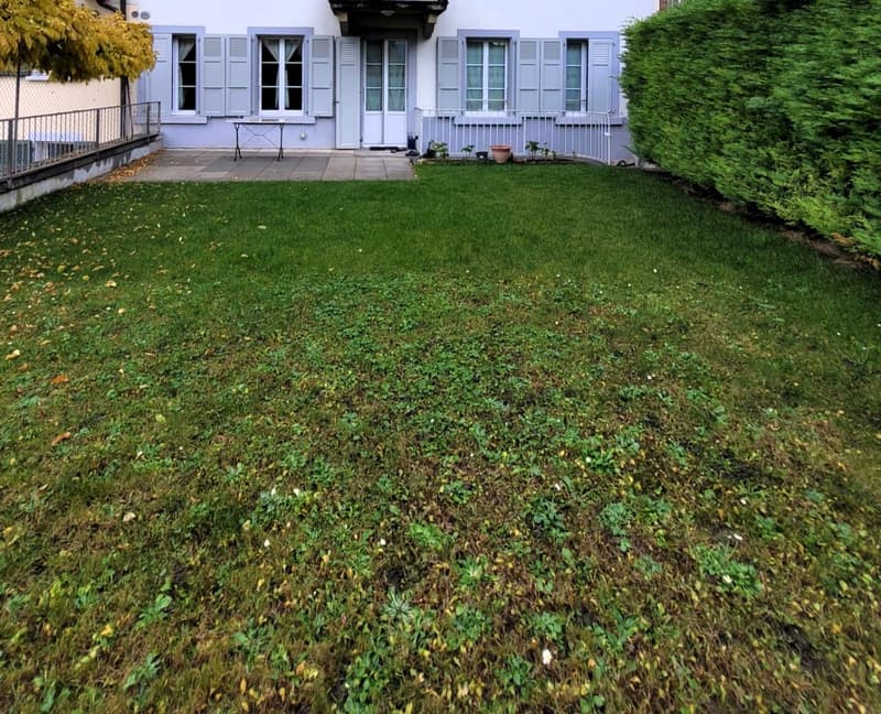 Splendide appartement avec vue panoramique imprenable sur le lac Léman et les montagnes (12)