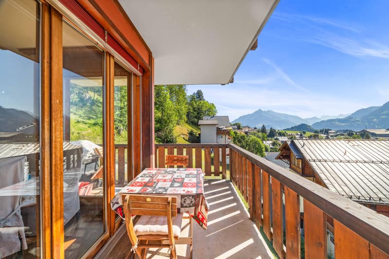 Magnifique appartement 2.5 pièces avec balcon (1)