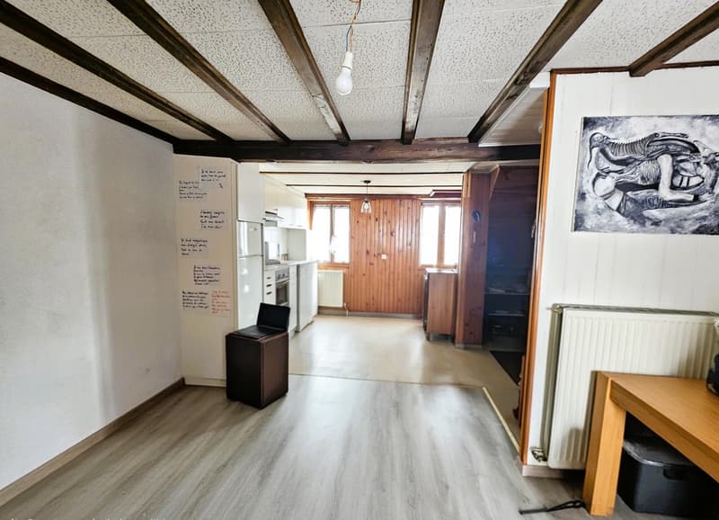 Magnifique appartement rénové (3)