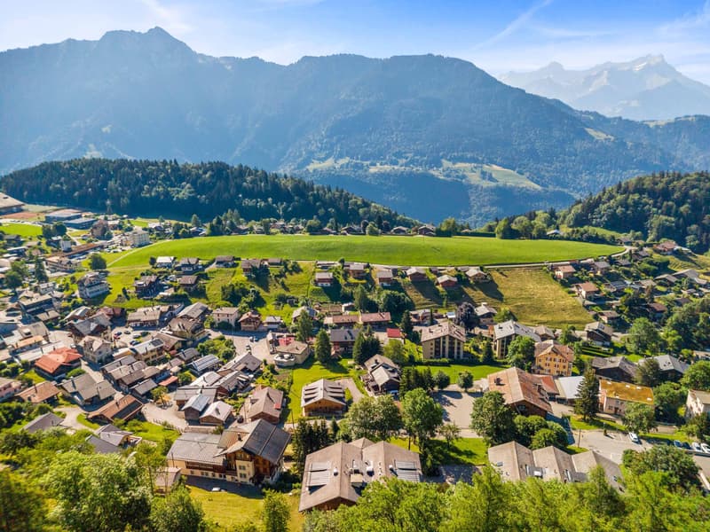 Magnifique appartement 2.5 pièces avec balcon (11)