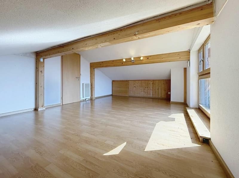 Maison d'architecte d'exception avec vue panoramique sur les Dents du Midi à Corbeyrier (12)