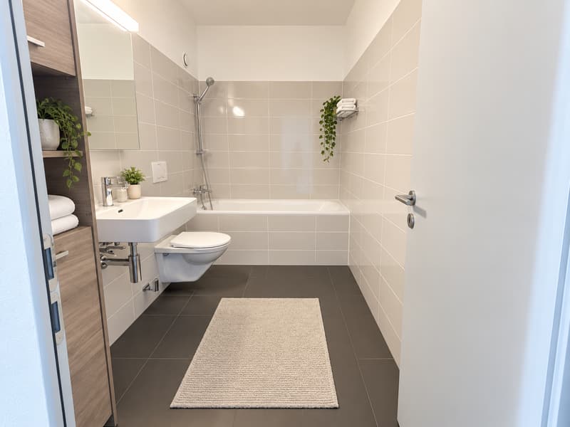 APPARTEMENT 4,5 PIÈCES AVEC TERRASSE ROOFTOP A VENDRE A VEVEY (5)