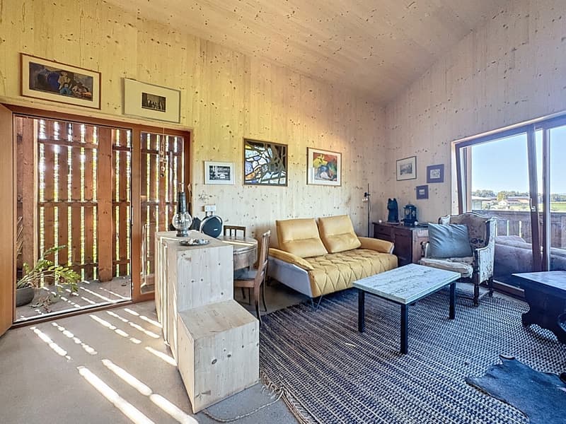 Maison d'architecte, centre équestre sur 4350m² de parcelle et mazot (3)