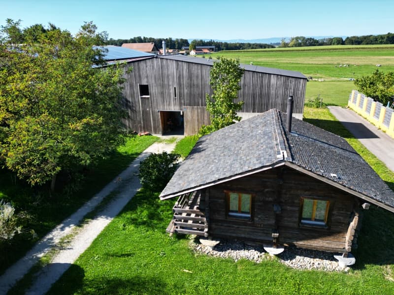 Maison d'architecte, centre équestre sur 4350m² de parcelle et mazot (10)