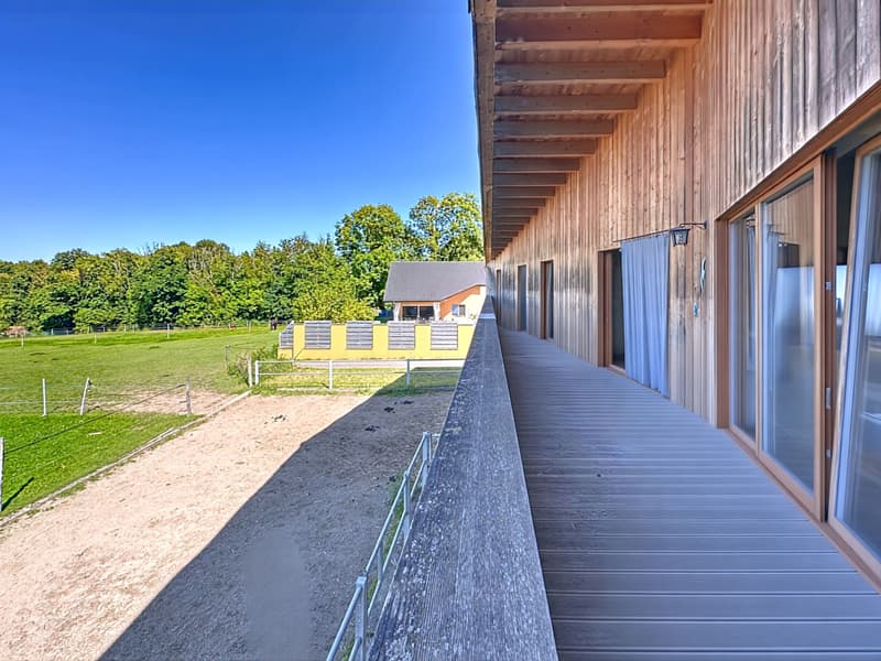 Maison d'architecte, centre équestre sur 4350m² de parcelle et mazot (8)