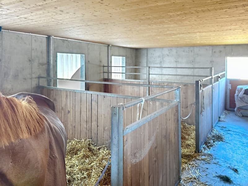 Maison d'architecte, centre équestre sur 4350m² de parcelle et mazot (7)
