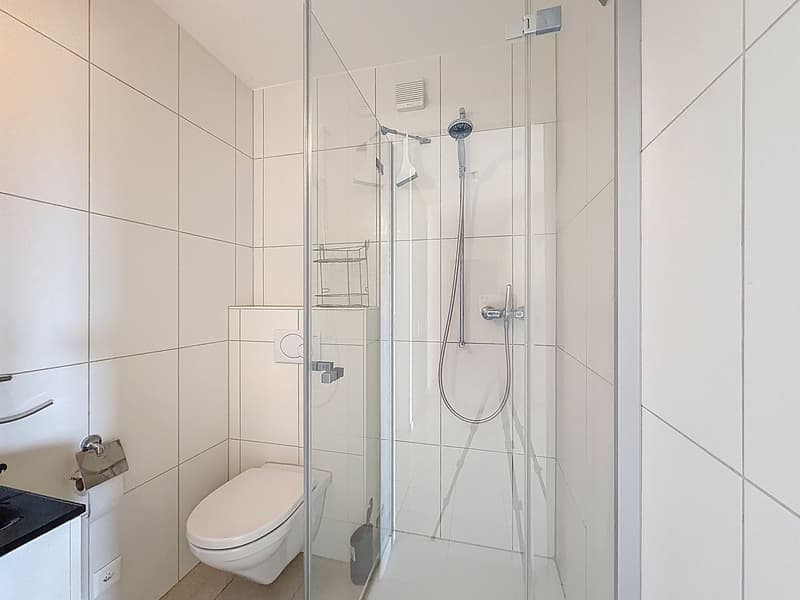 5.5 pièces au rez-supérieur à Villars-sur-Glâne (7)