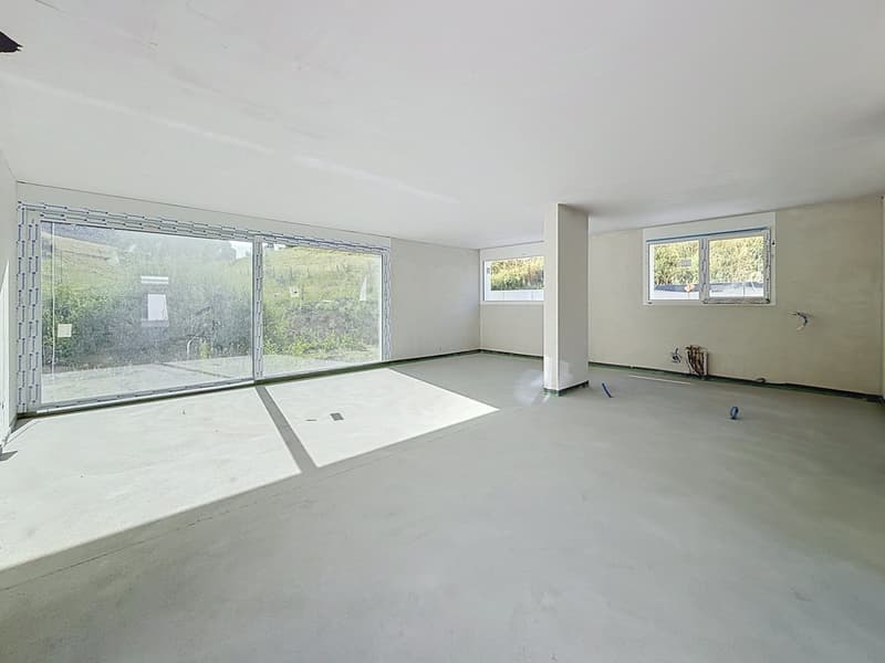 La lumière comme signature : villa individuelle de 6.5 pièces (4)