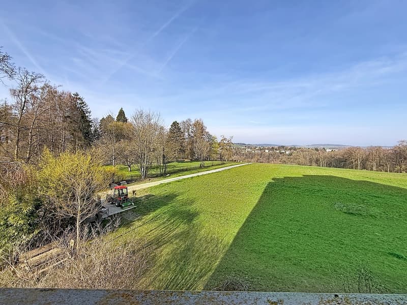 Appartement 2.5 pièces à vendre à Fribourg (8)