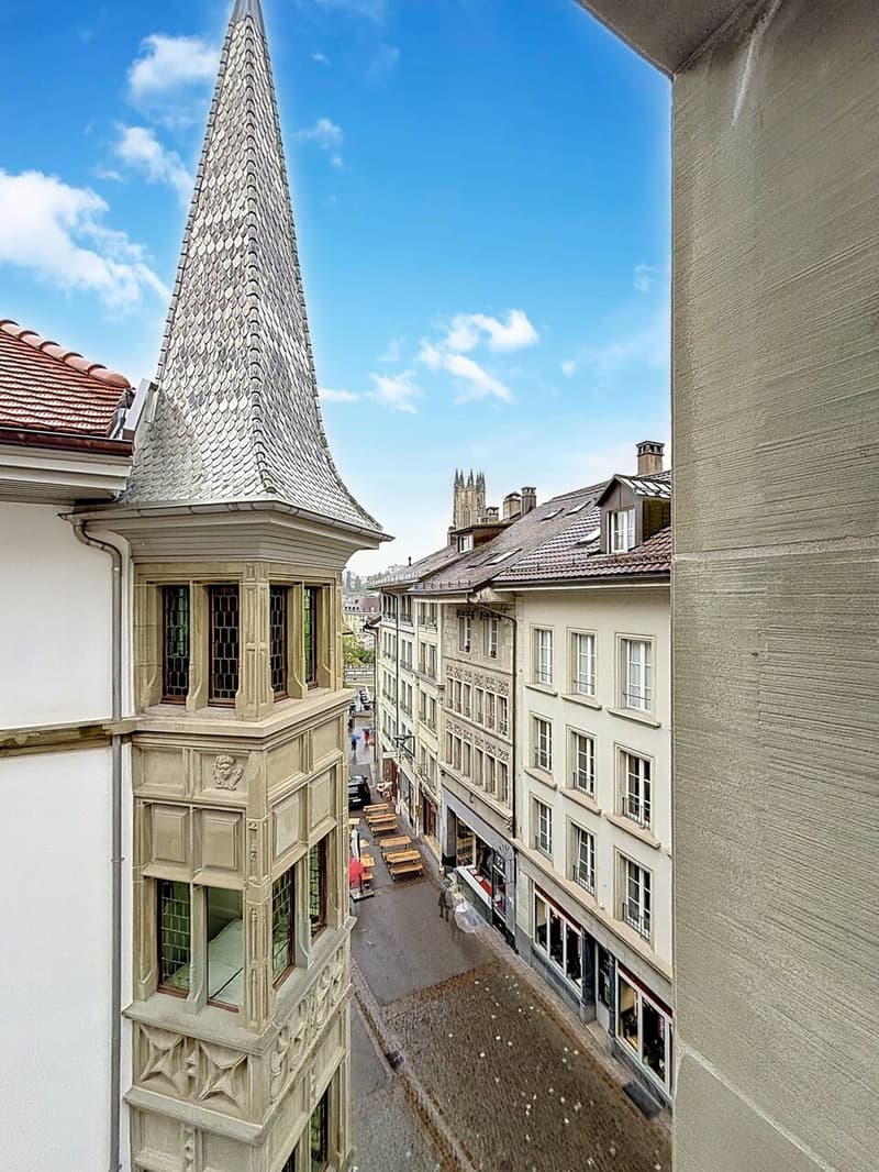 Appartement de 3.5 pièces au coeur de la Rue de Lausanne (2)