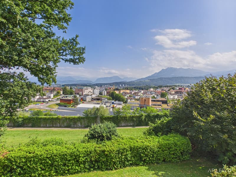 Helle 4.5-Zimmer-Wohnung mit Balkon und Garage in Emmen (4)