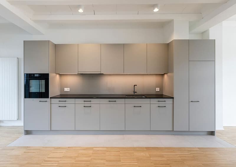 Erstbezugswohnung im Loftstil (2)
