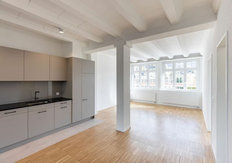 Erstbezugswohnung im Loftstil (4)