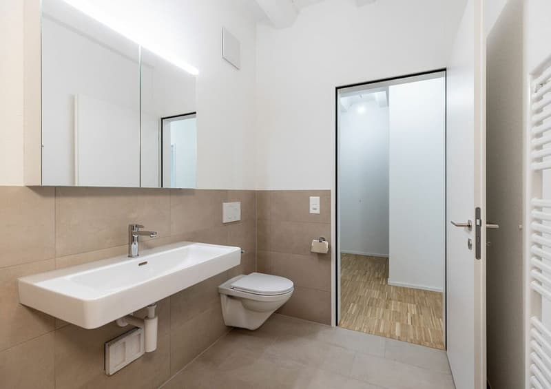 Erstbezugswohnung im Loftstil (5)