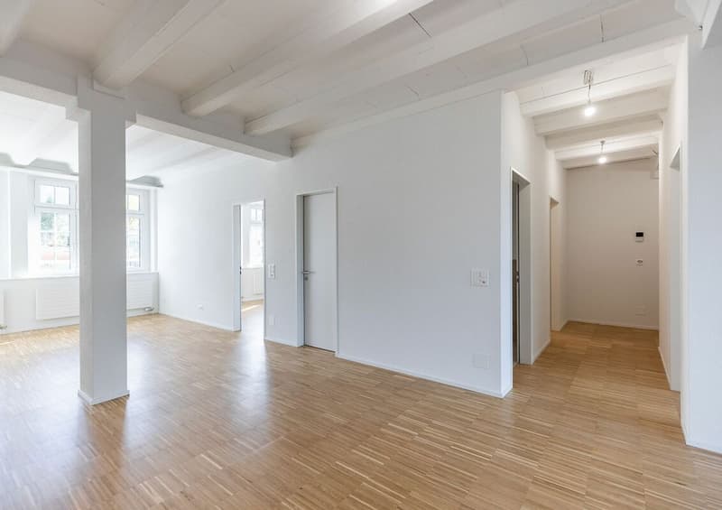 Erstbezugswohnung im Loftstil (3)