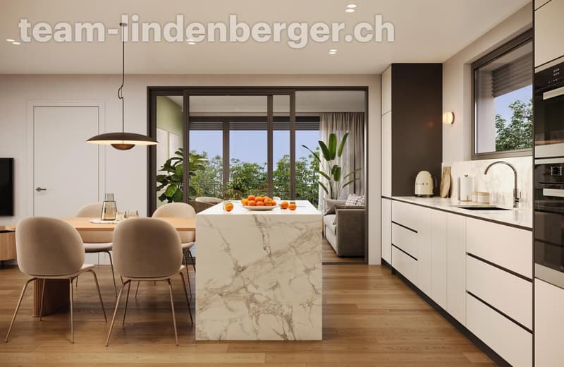 Moderne Küche mit Kochinsel (im Hintergrund Wintergarten)