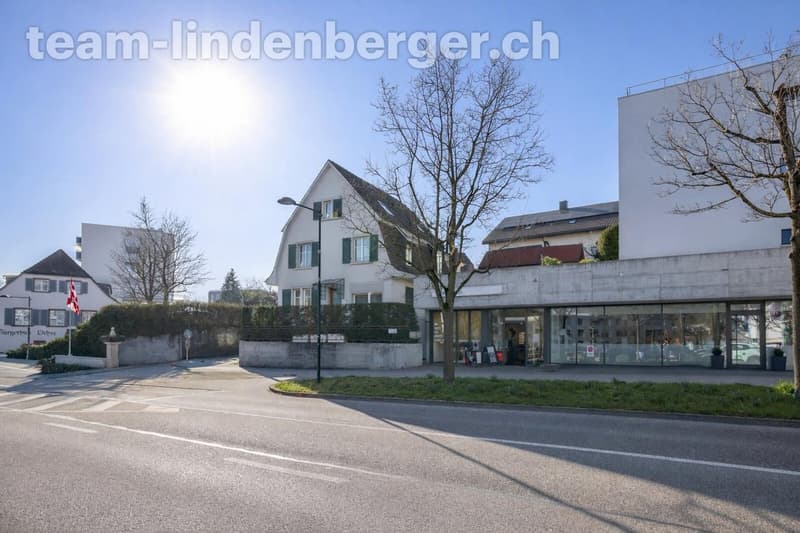 Ansicht Liegenschaft von der Strasse