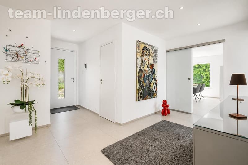 Eingangsbereich und Vorplatz