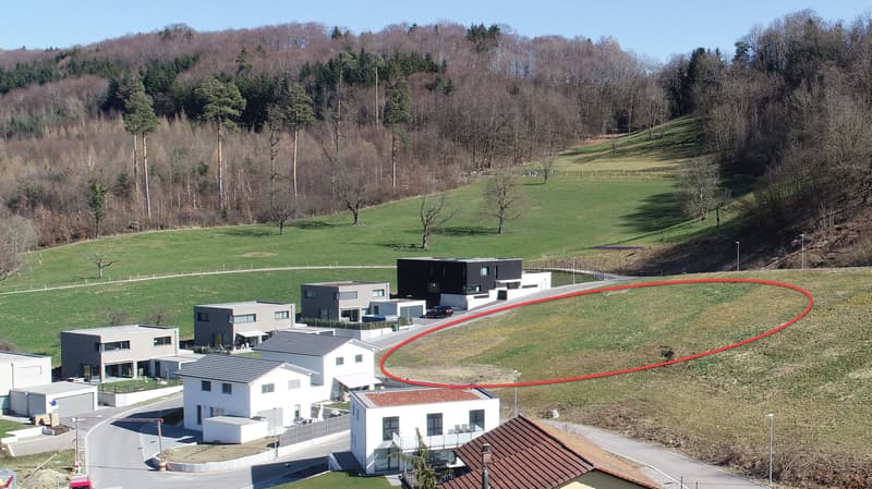 Wiese vor Baubeginn