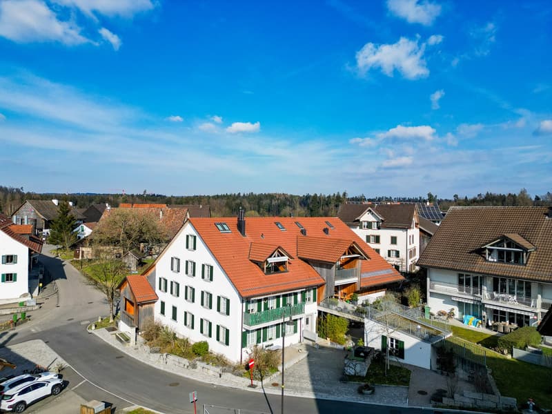 grosszügig & offene Maisonette Wohnung mit grossem Hobbyraum (1)
