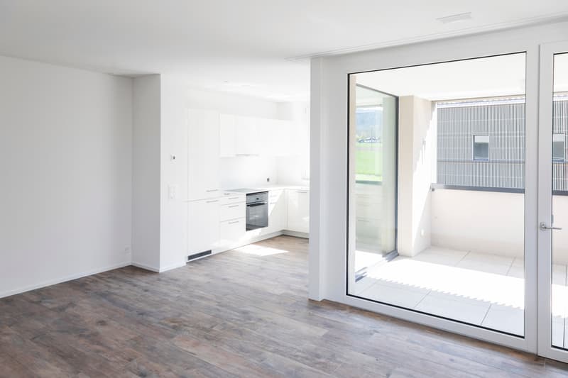 Wunderschöne moderne Wohnung (2)