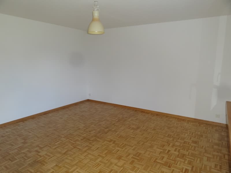 Zimmer