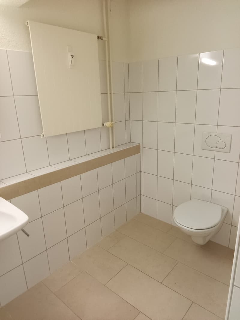 Gewerbe mit originellem Grundriss zu vermieten (7)