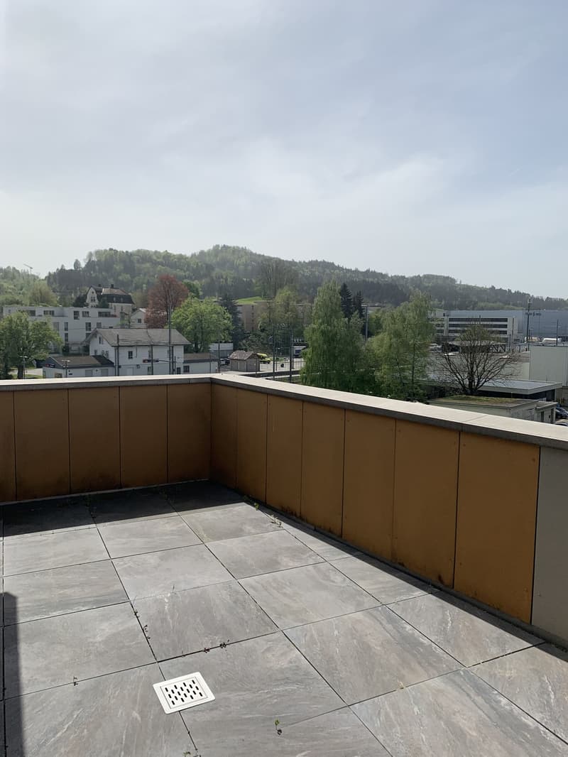 3-Zimmer- Attikawohnung mit eigenem Waschturm (6)