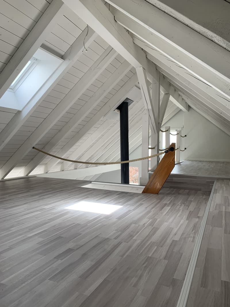 3-Zimmer- Attikawohnung mit eigenem Waschturm (1)