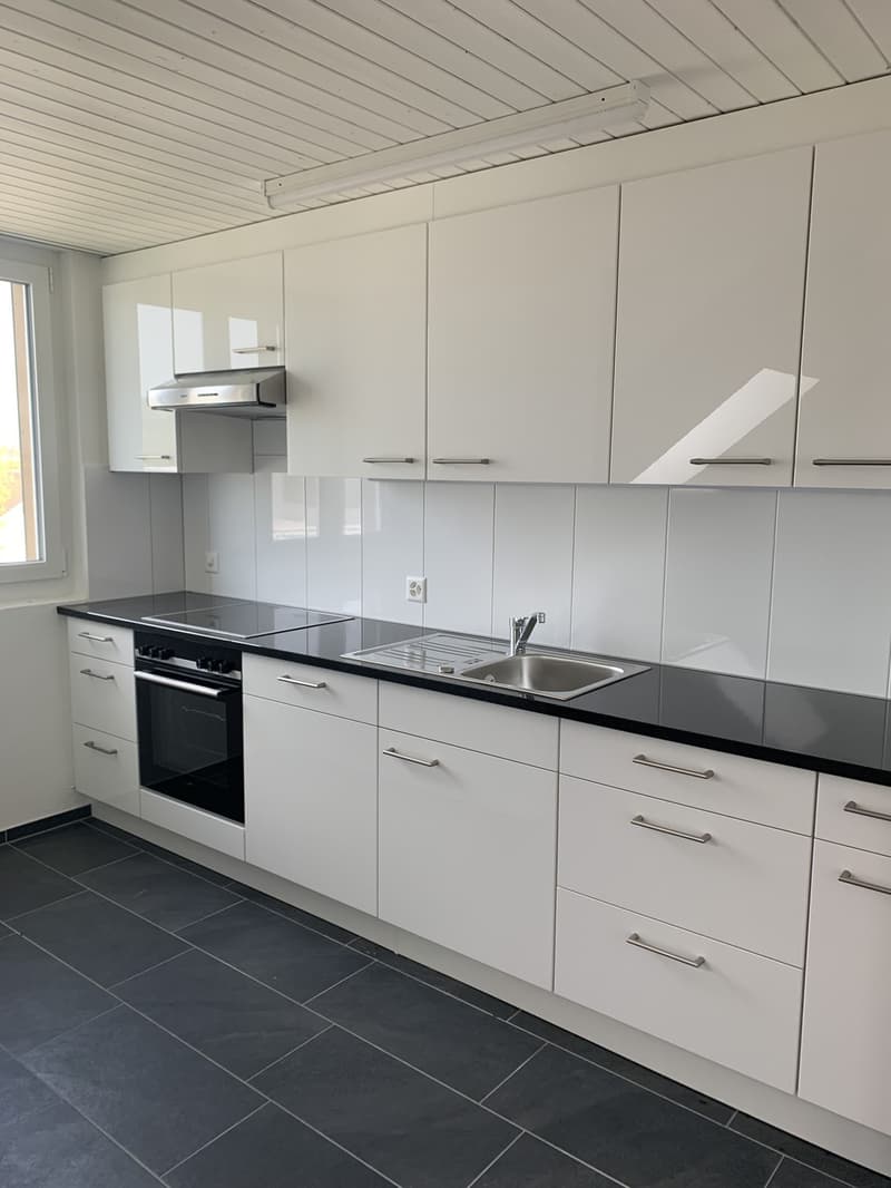 3-Zimmer- Attikawohnung mit eigenem Waschturm (3)