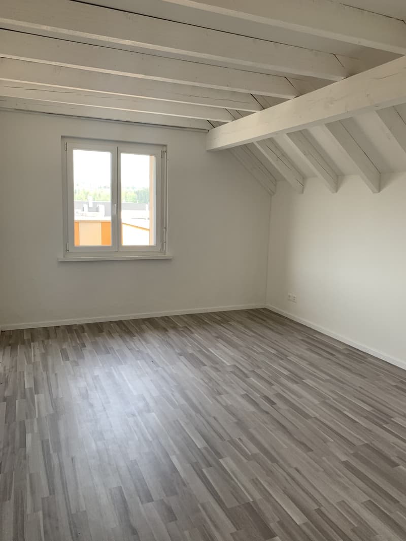 3-Zimmer- Attikawohnung mit eigenem Waschturm (5)
