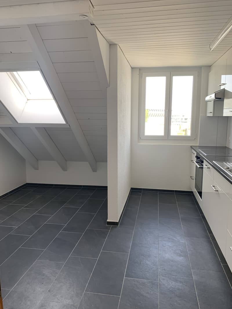 3-Zimmer- Attikawohnung mit eigenem Waschturm (4)
