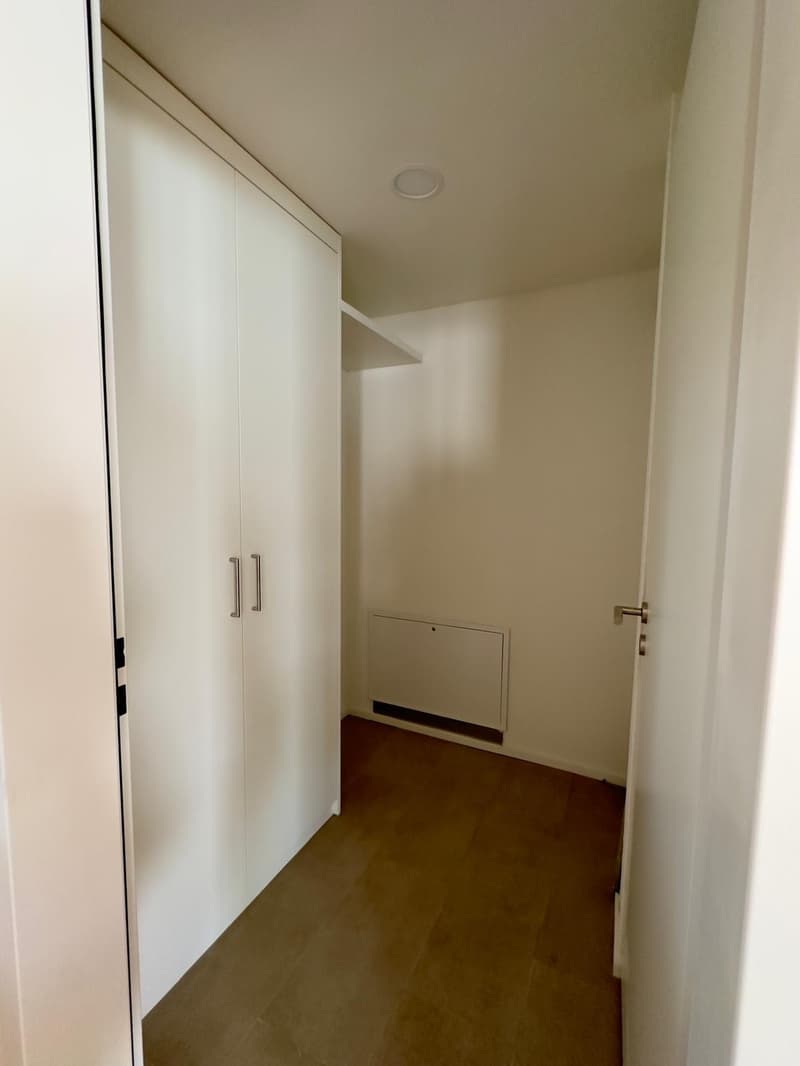 3,5-Zimmer-Attikawohnung mit grosser Terrasse (11)