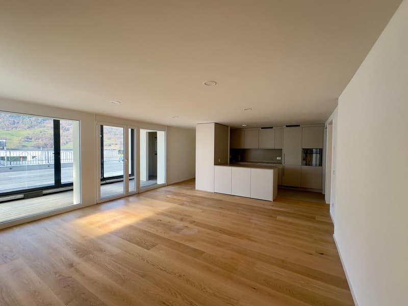 3,5-Zimmer-Attikawohnung mit grosser Terrasse (2)