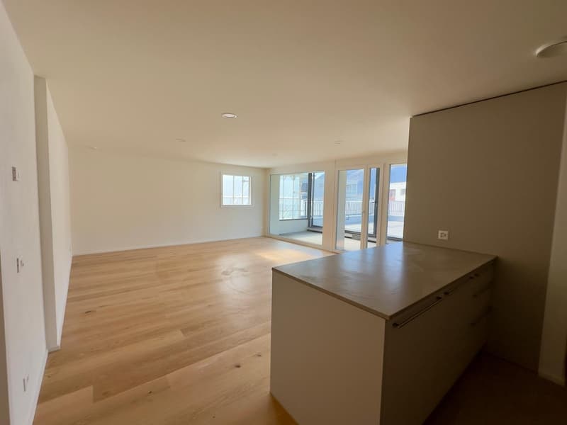 3,5-Zimmer-Attikawohnung mit grosser Terrasse (3)