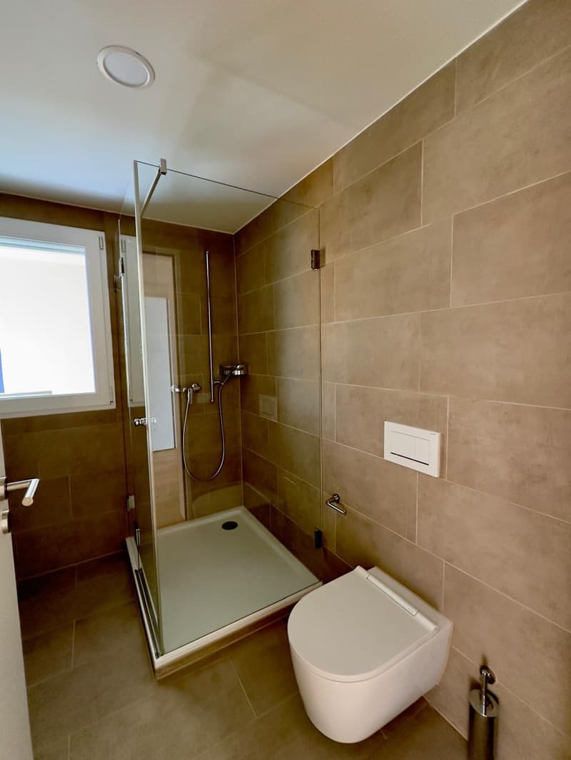 3,5-Zimmer-Attikawohnung mit grosser Terrasse (8)