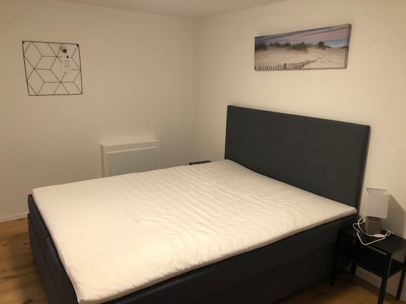 Gemütliche Wohnung perfekt für Wochenaufenthalter oder Studenten (4)