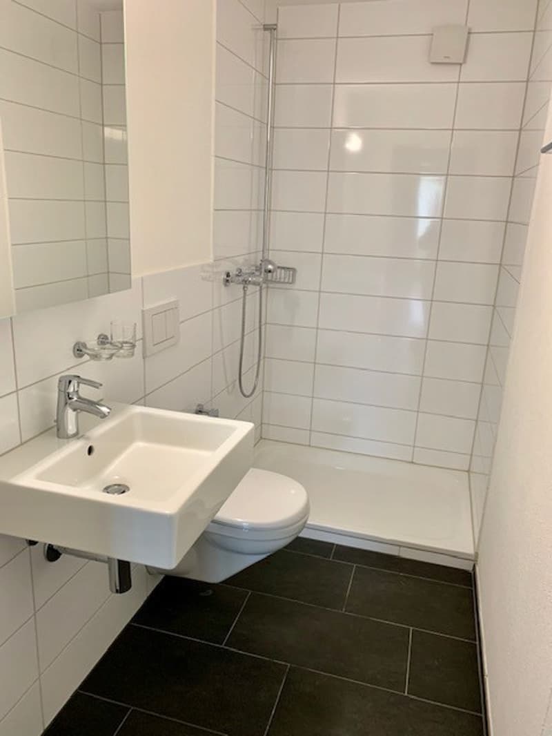Grosszügige 6.5 Zimmer-Wohnung in Winterthur-Seen (5)